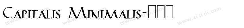 Capitalis Minimalis字体转换